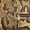 Kleine Luggage aus Pythonleder