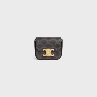 Mini Claude aus Triomphe Canvas und Kalbsleder