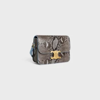 Teen Triomphe Tasche aus Python-Patchwork