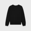 Triomphe-Pullover mit V-Ausschnitt aus Wolle Triomphe-Pullover mit V-Ausschnitt aus Wolle