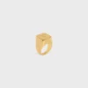 Triomphe Square Siegelring aus Messing mit Goldfinish Triomphe Square Siegelring aus Messing mit Goldfinish